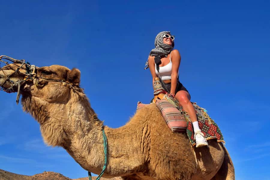 Hurghada: Desert Quad, Bedouin Village, and Camel Ride Tour - The key points before you book