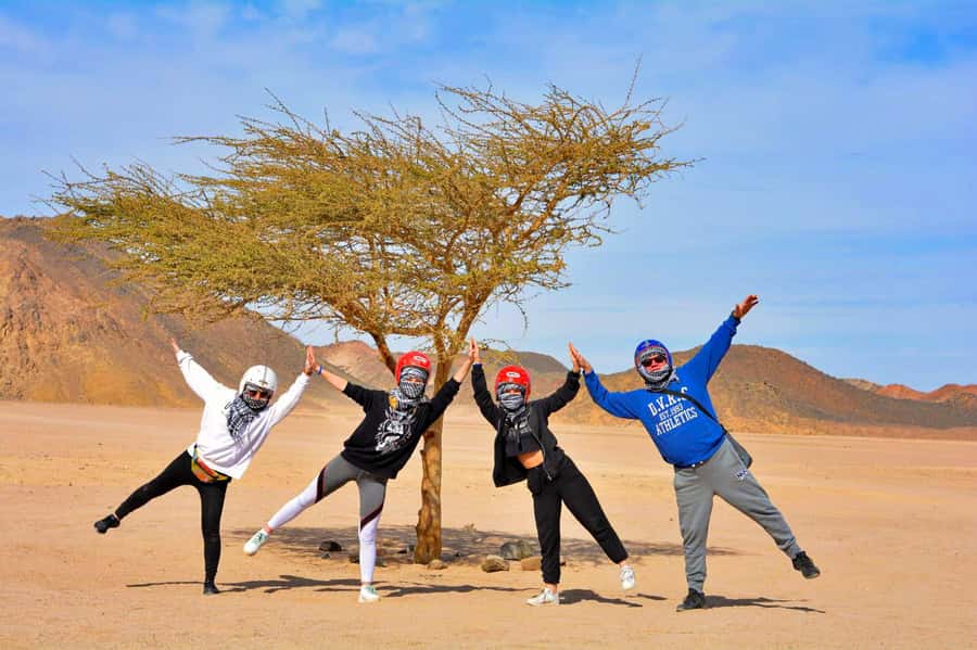 Hurghada: Desert Quad, Bedouin Village, and Camel Ride Tour - Who should book this desert outing?