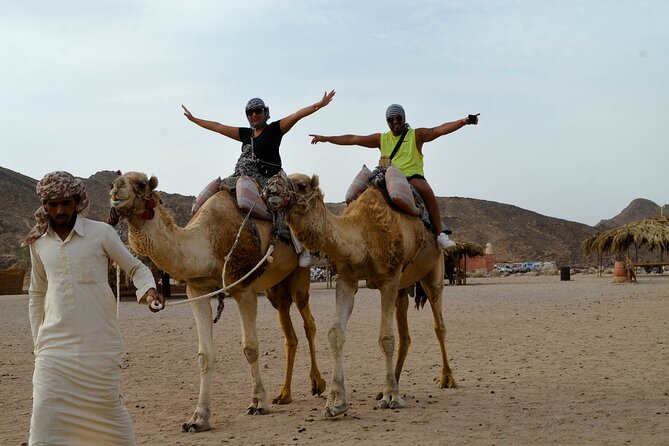 Hurghada Desert Safari on Quad Bikes With Camel for 3 Hours - Reaching the Bedouin community