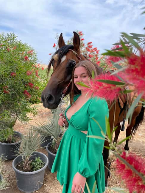 Hurghada: Desert & Sea Horse Riding with + 360° Photos - From your hotel to the Hurghada stable
