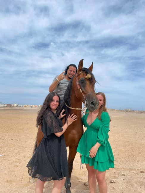 Hurghada: Desert & Sea Horse Riding with + 360° Photos - Meeting the Arabian horses and getting comfortable