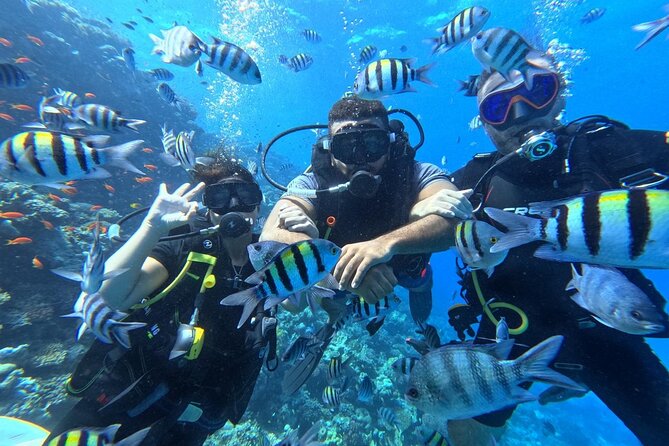 Hurghada Diving Adventure one Day with two Dives Boat Trip - Two Red Sea sites, two different chances to explore