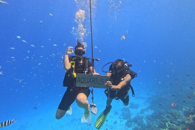 Hurghada Diving Adventure one Day with two Dives Boat Trip - Booking, cancellation, and weather considerations