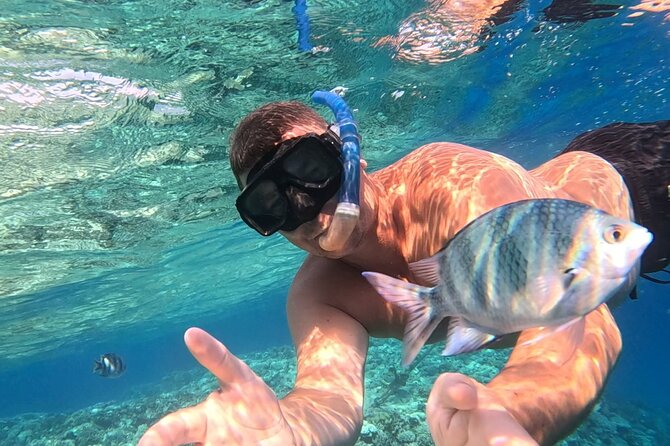 Hurghada Diving Adventure one Day with two Dives Boat Trip - What the guides add to the experience