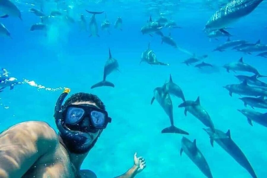 Hurghada: Dolphin & Coral Reef Snorkeling Tour with Lunch - Key points to know before booking