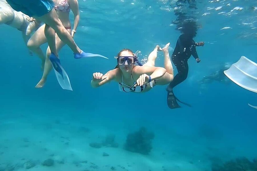 Hurghada: Dolphin Cruise with Snorkeling & Buffet Lunch - How the guides shape the experience