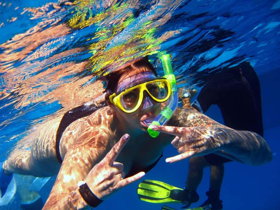 Hurghada: Dolphin watch Cruise with optional pickup - Crew, guiding, and service quality