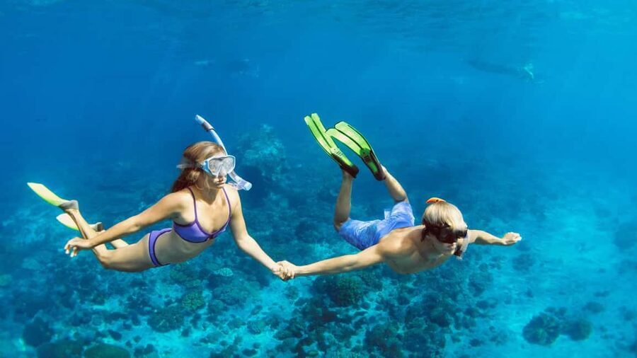 Hurghada: Dolphin Watching Boat Tour with Snorkeling & Lunch - What the $25 price really covers