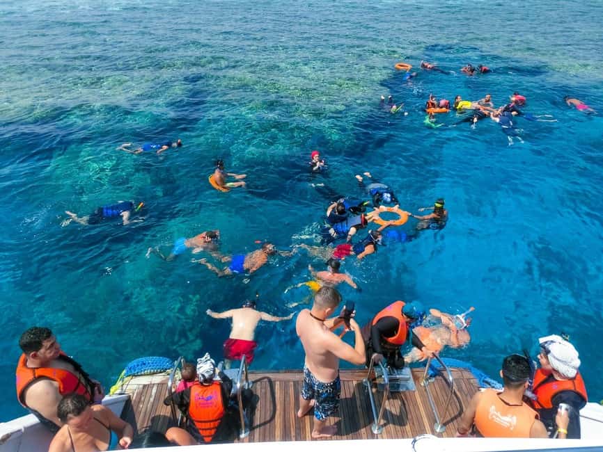 Hurghada: Dolphin Watching Boat Tour with Snorkeling & Lunch - Practical tips for a better day