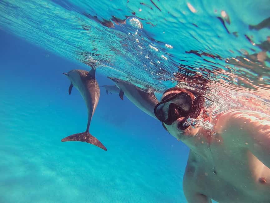Hurghada: Dolphin Watching Boat Tour with Snorkeling & Lunch - Searching for dolphins in their own home