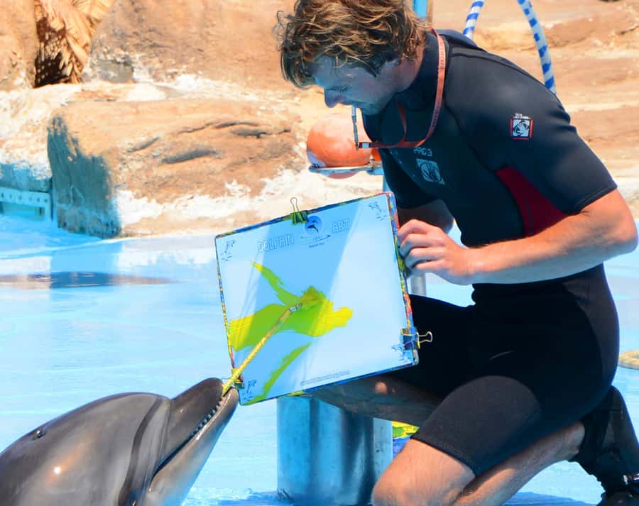 Hurghada: Dolphin World Show with Walruses and Pickup - Key things to know before you book