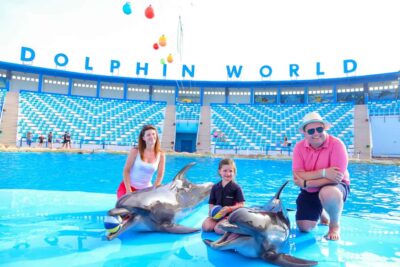 Dolphin World Show with Walruses and Pickup