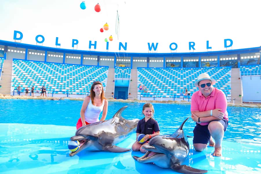 Hurghada: Dolphin World Show with Walruses and Pickup - Dolphins, sea lions, and the walrus act