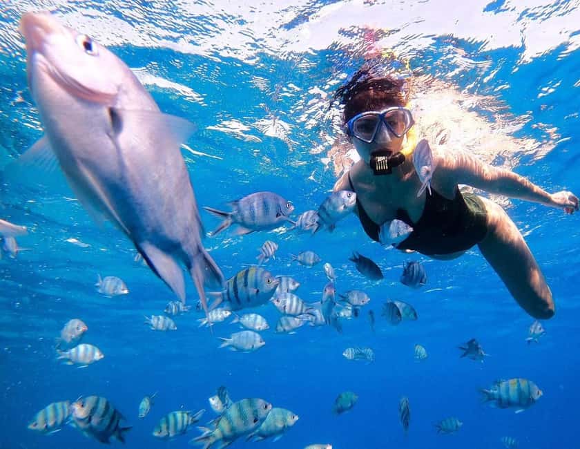 Hurghada:Eden Island Full-Day Trip with Water sports & Lunch - Key points to know before booking