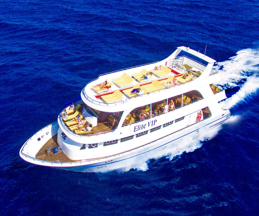 Hurghada: Elite vip snorkeling cruise with BBQ buffet lunch - The first cruise and your first reef stop
