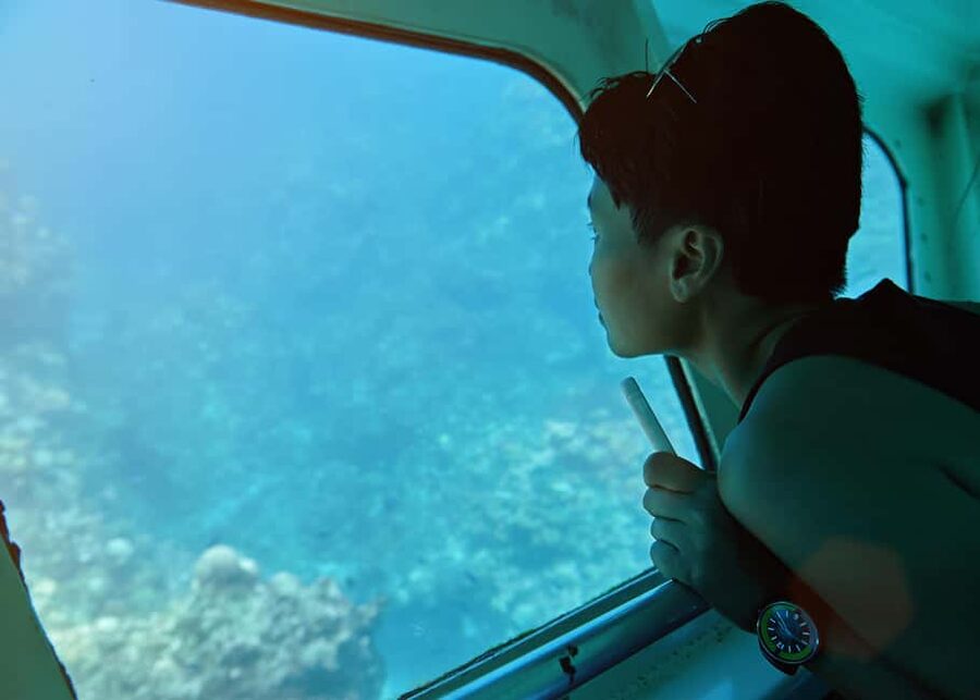 Hurghada: Empire Submarine Boat Trip with Snorkel and Drinks - What the $19 price really gets you