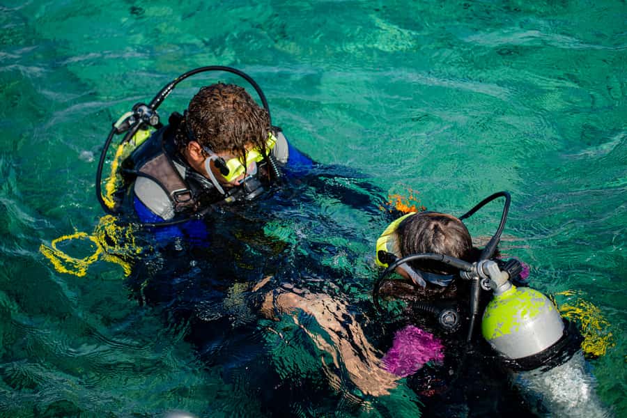 Hurghada: Full-Day Scuba Diving Tour with 2 Sites and Lunch - Should you book this Hurghada scuba tour?