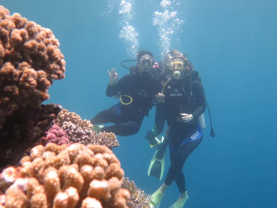 Hurghada: Full-Day Scuba Diving Tour with 2 Sites and Lunch - Why this Hurghada outing works for first-timers