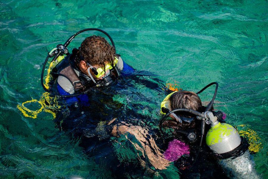 Hurghada: Full-Day Scuba Diving Tour with 2 Sites and Lunch - What the $70 price really covers