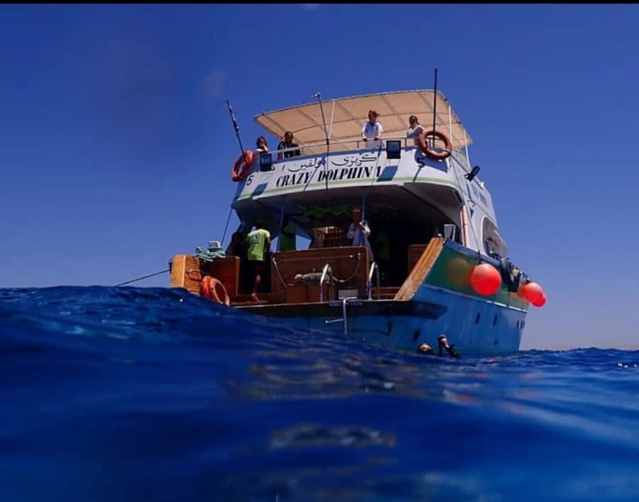 Hurghada: Full-Day Scuba Diving Tour with 2 Sites and Lunch - What to bring and who should skip it