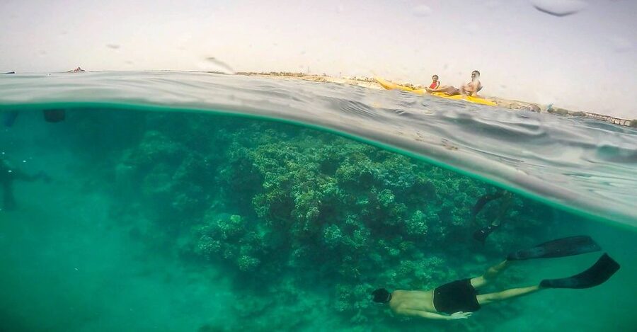 Hurghada: Full-Day Snorkeling Tour in Sharm El Naga w/Lunch - The drive from Hurghada to Sharm El Naga