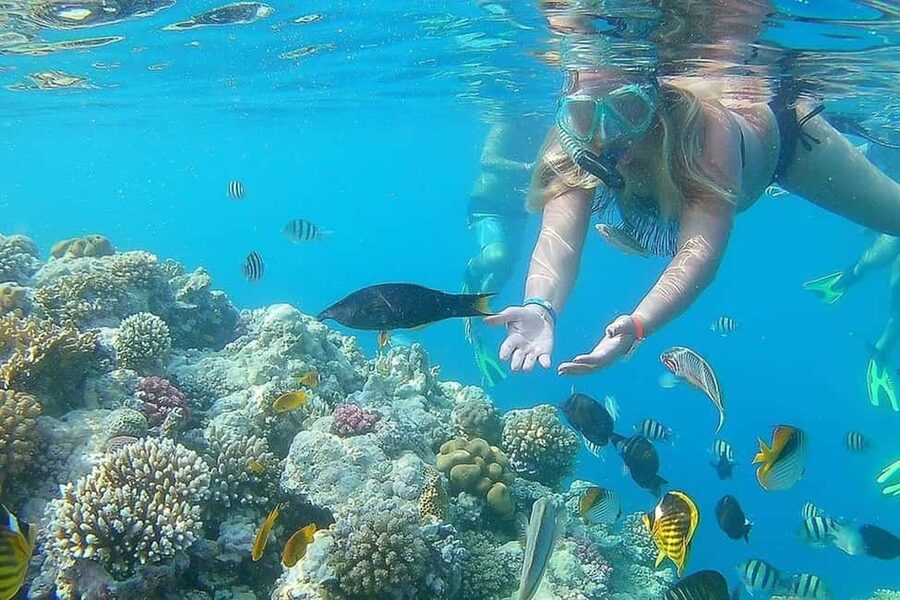 Hurghada: Full-Day Snorkeling Tour in Sharm El Naga w/Lunch - Snorkeling over coral and fish
