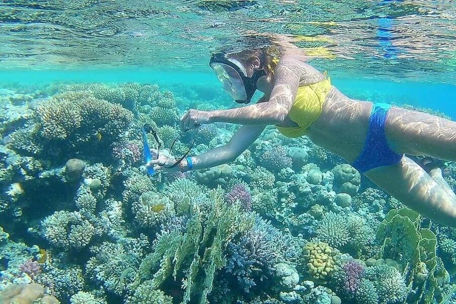 Hurghada: Full-Day Snorkeling Tour in Sharm El Naga w/Lunch - What the $75 price really covers