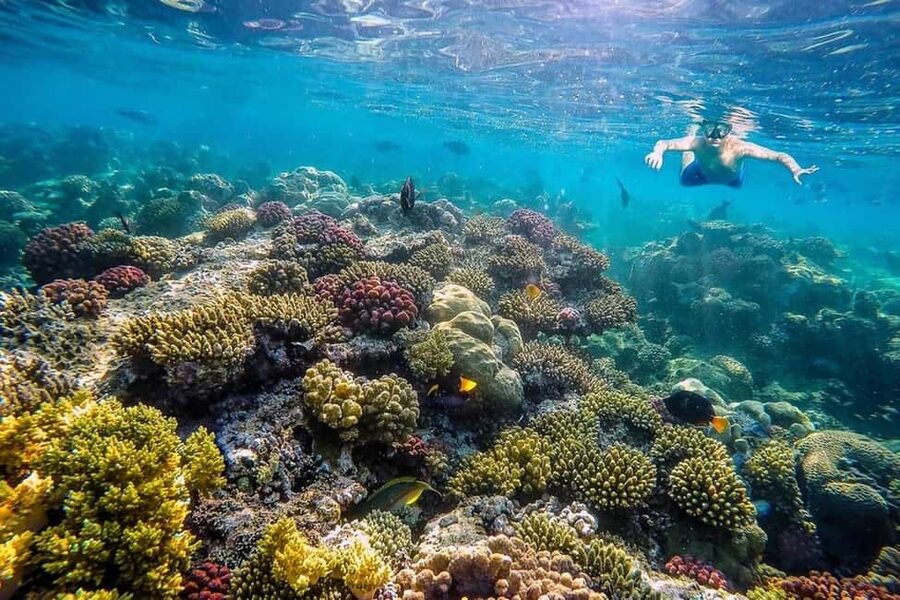 Hurghada: Full-Day Snorkeling Tour in Sharm El Naga w/Lunch - What to bring for a better day