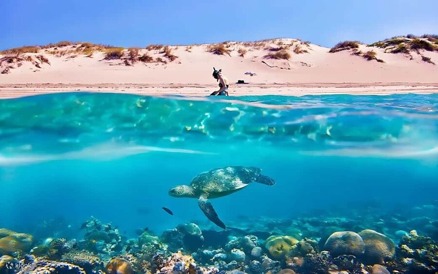 Hurghada: Giftun Island with breakfast, lunch & Water Sports - First snorkeling stop: the best reason to book