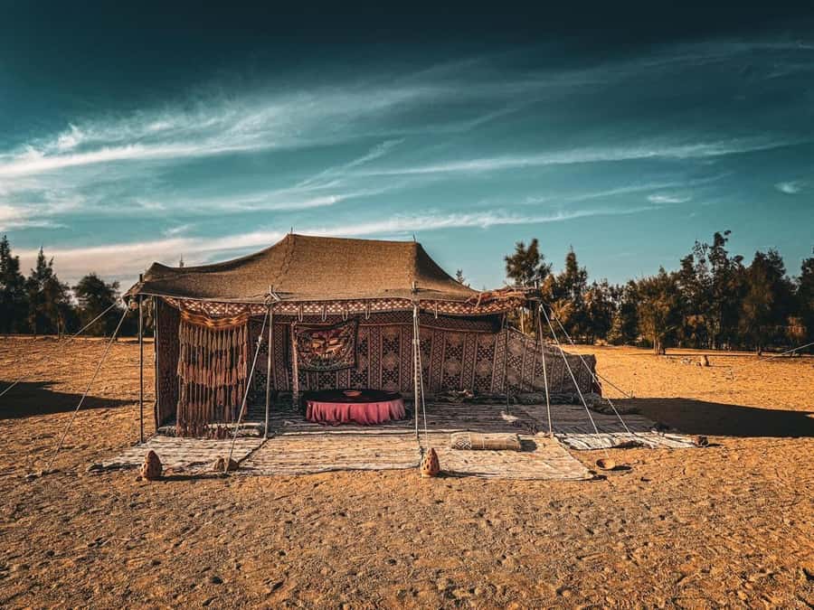 Hurghada: Hiking , dinner & stargazing - Sunset, Egyptian dinner, and a cooler desert evening