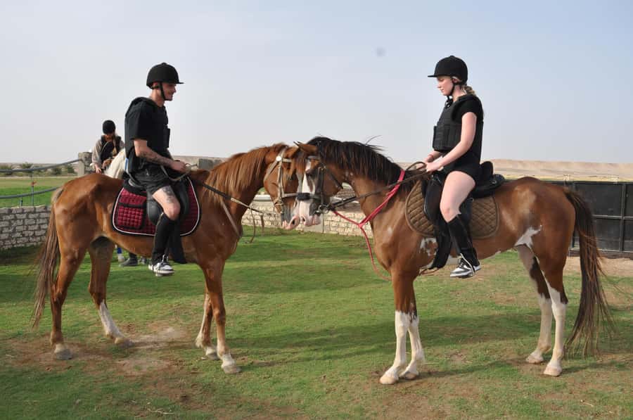 Hurghada: Horse Ride, BBQ Dinner, and Stargazing - Getting from Hurghada to the desert oasis
