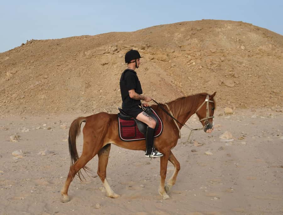 Hurghada: Horse Ride, BBQ Dinner, and Stargazing - BBQ dinner at the oasis