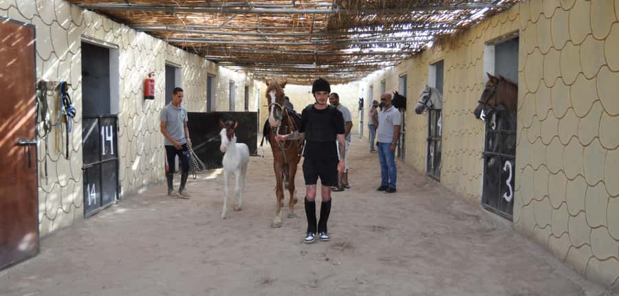 Hurghada: Horse Ride, BBQ Dinner, and Stargazing - Safety, guides, and group comfort