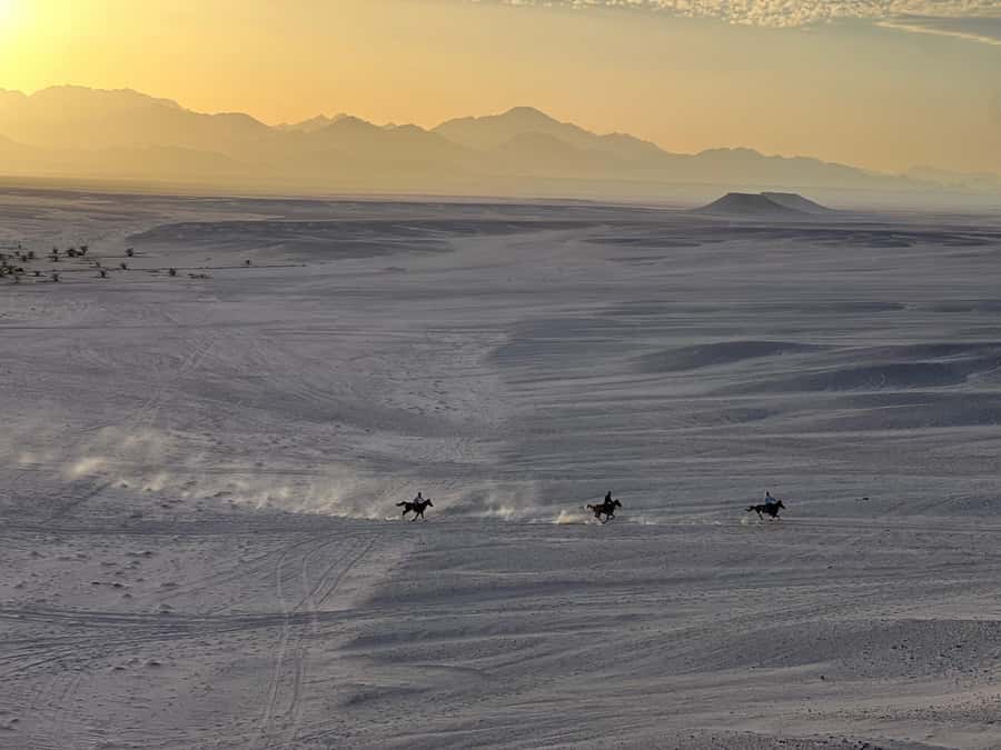 Hurghada: Horse Ride, BBQ Dinner, and Stargazing - Welcome tea, equipment, and the first safety briefing