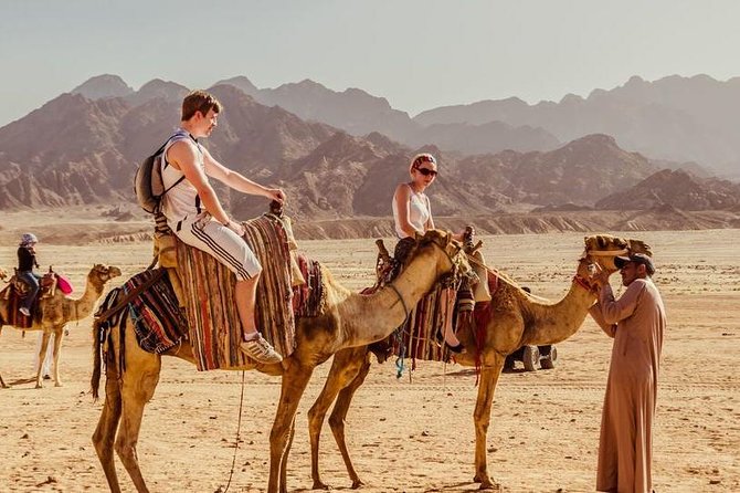 Hurghada: Jeep Safari, Camel Ride & Bedouin Village Tour - Reptile house and the extra stops