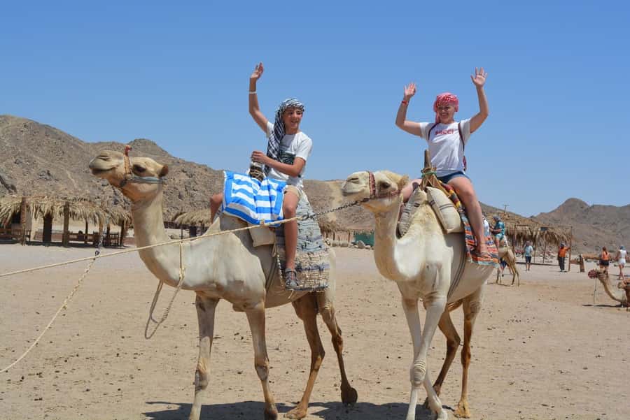 Hurghada: Jeep Safari with Camel Ride, Dinner and Show - The Oriental show and belly dance