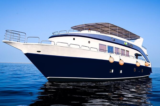 Hurghada: Luxury Cruise to Orange Bay & Hula Hula Island. - Dolphin House: the emotional high point