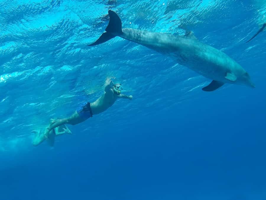 Hurghada: Luxury Cruise Trip to Orange Bay with Lunch - Massage, banana boat, and free time