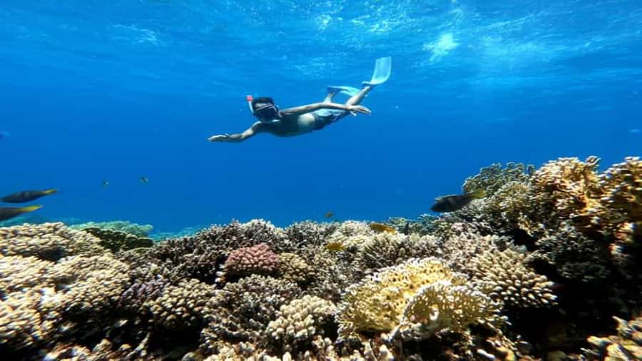 Hurghada: Luxury Giftun island w/snorkeling/lunch & Massage - Lunch is filling rather than fancy