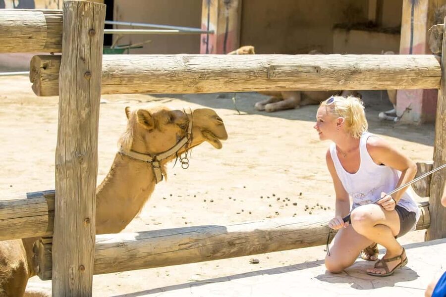 Hurghada: Mega Jeep safari, ATV & Bedouin vibe, and Dinner - A camel ride with modest expectations