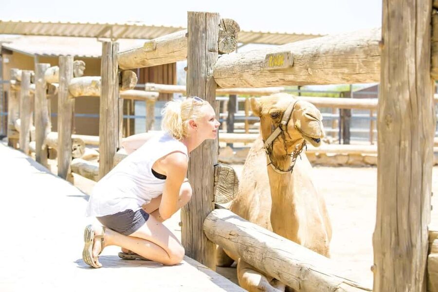Hurghada: Mega Jeep safari, ATV & Bedouin vibe, and Dinner - Bedouin camp, tea, and the limits of the setup