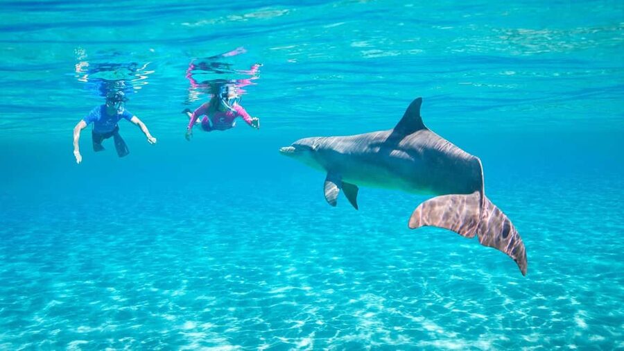 Hurghada or Makadi: Discover the Magic of Dolphin House - Two Snorkeling Stops on the Red Sea