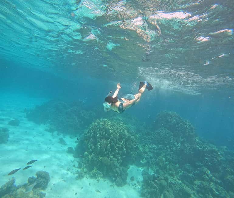 Hurghada or Makadi: Discover the Magic of Dolphin House - Lunch, Fruit, and Drinks on Board