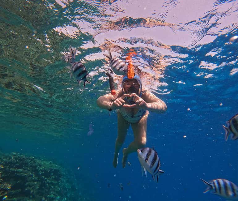 Hurghada or Makadi: Discover the Magic of Dolphin House - What the $27 Price Really Buys