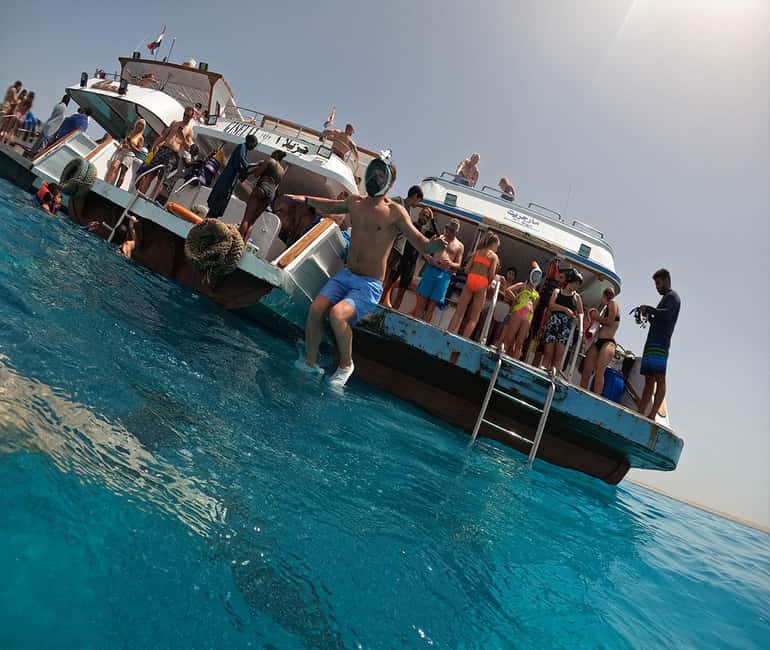 Hurghada or Makadi: Discover the Magic of Dolphin House - Who Will Enjoy This Trip Most