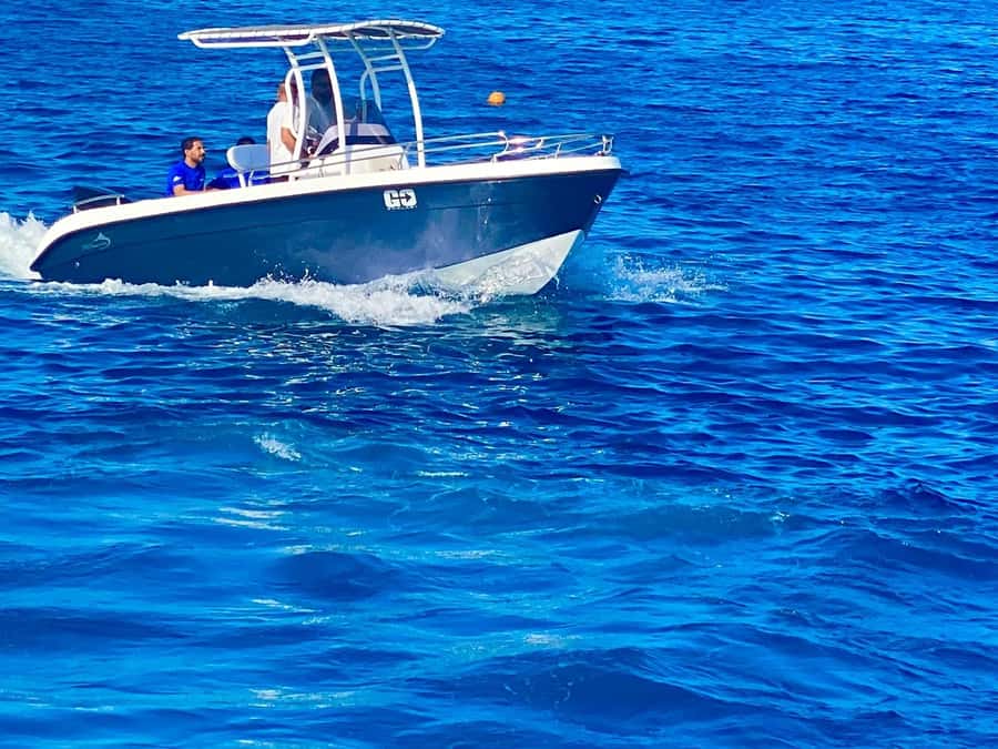 Hurghada: Orange Bay Dolphin Watching, Snorkeling & Lunch - Who Should Choose This Tour?