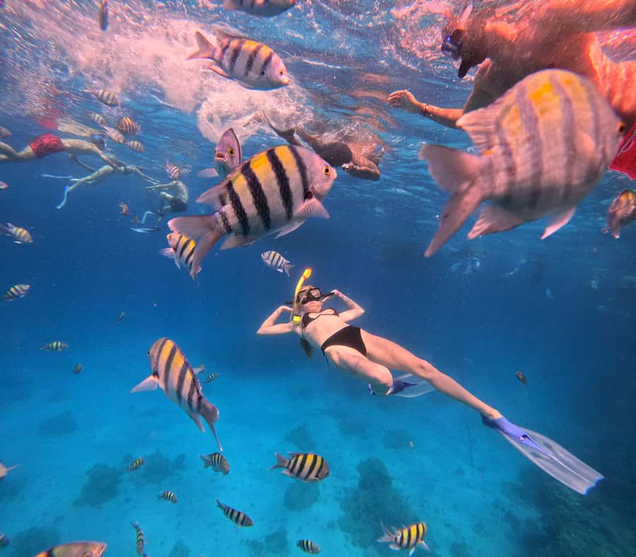 Hurghada: Orange Bay Island Boat Trip w/ Breakfast and Lunch - Safety briefing and the first snorkeling stop