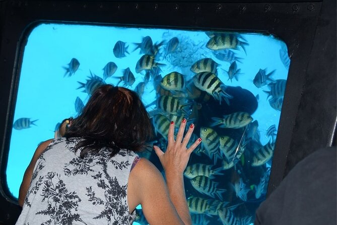 Hurghada Panorama Submarine Boat Trip with Snorkel and Drinks - A simple way to see Hurghada’s reef