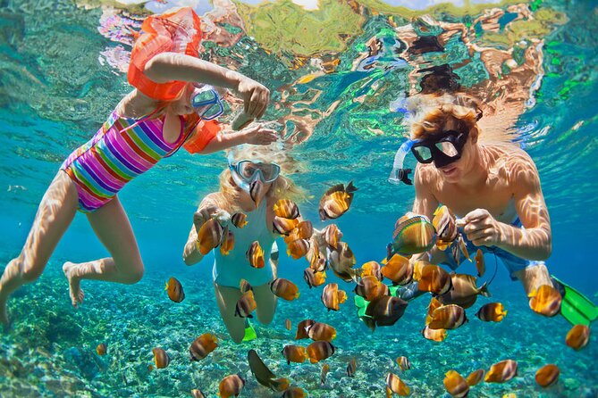 Hurghada Paradise Conquest Semi Submarine Snorkeling Trip - Key points at a glance