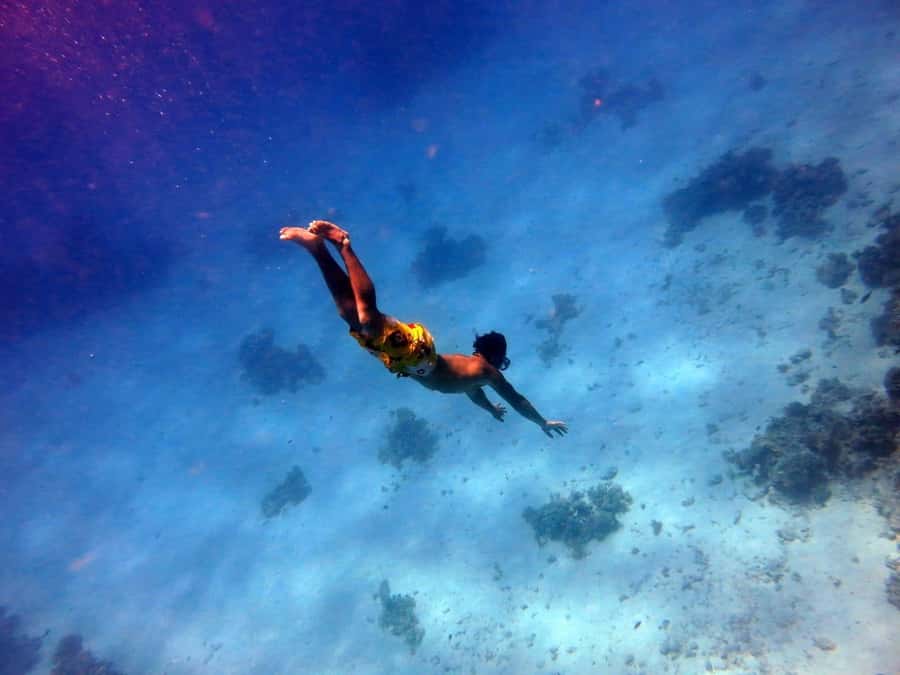 Hurghada: Premium Island Cruise with Lunch and snorkeling - Two Snorkeling Stops on the Red Sea